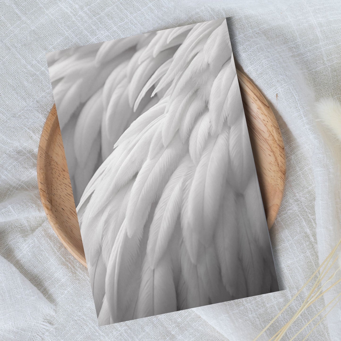Soft Feathers - Exklusive Design Bügelfolie