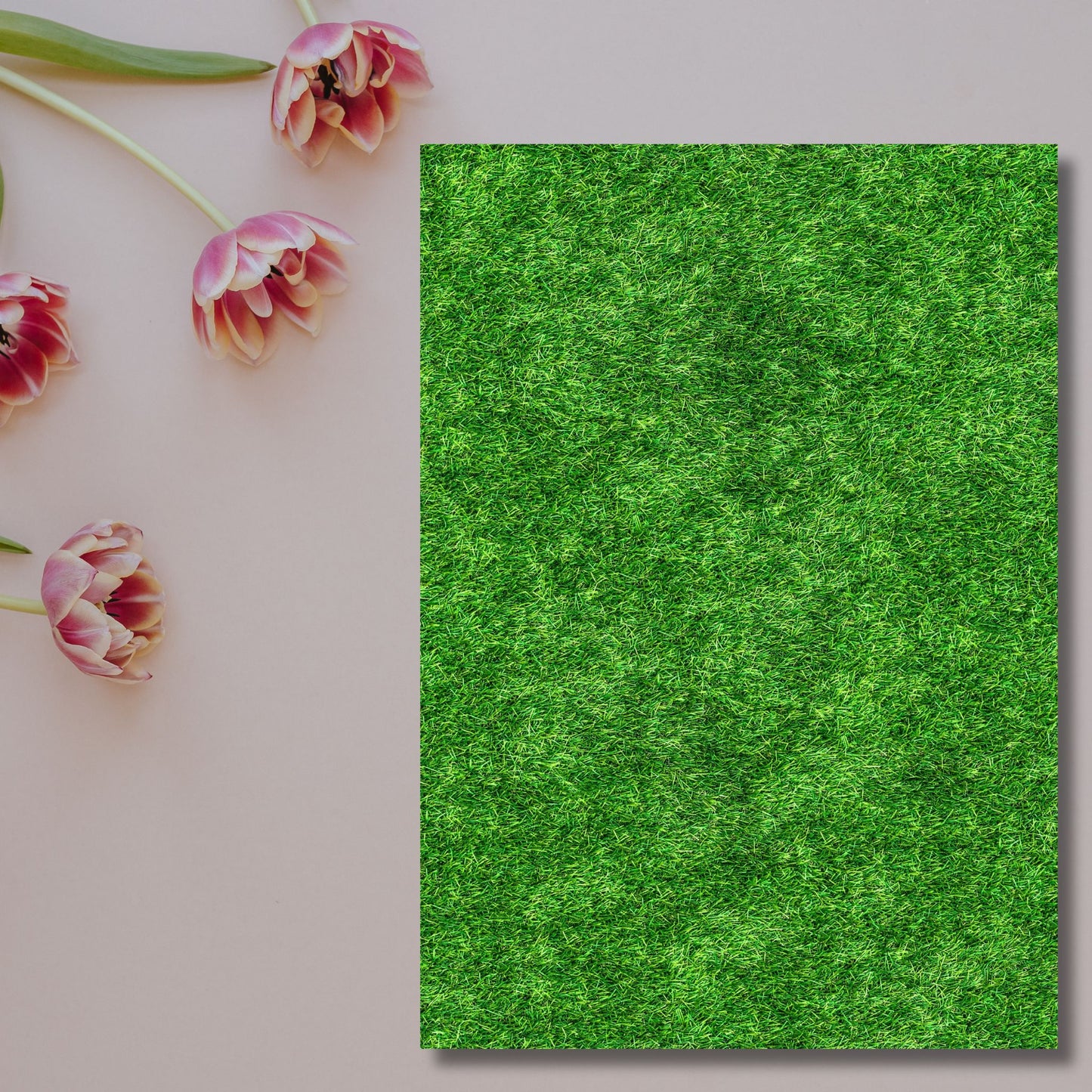 Fresh Grass – Exklusive Design Flexfolie - Letzte Chance