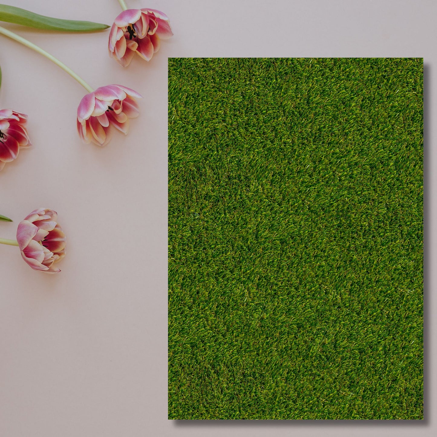 Fresh Grass – Exklusive Design Flexfolie - Letzte Chance