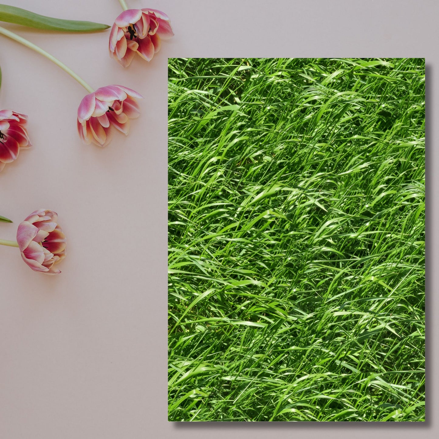 Fresh Grass – Exklusive Design Flexfolie - Letzte Chance