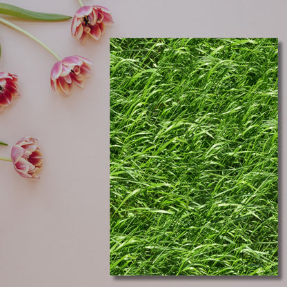 Fresh Grass – Exklusive Design Flexfolie - Letzte Chance