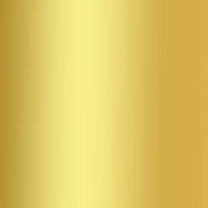 Aslan Mirror Vinyl CA 23