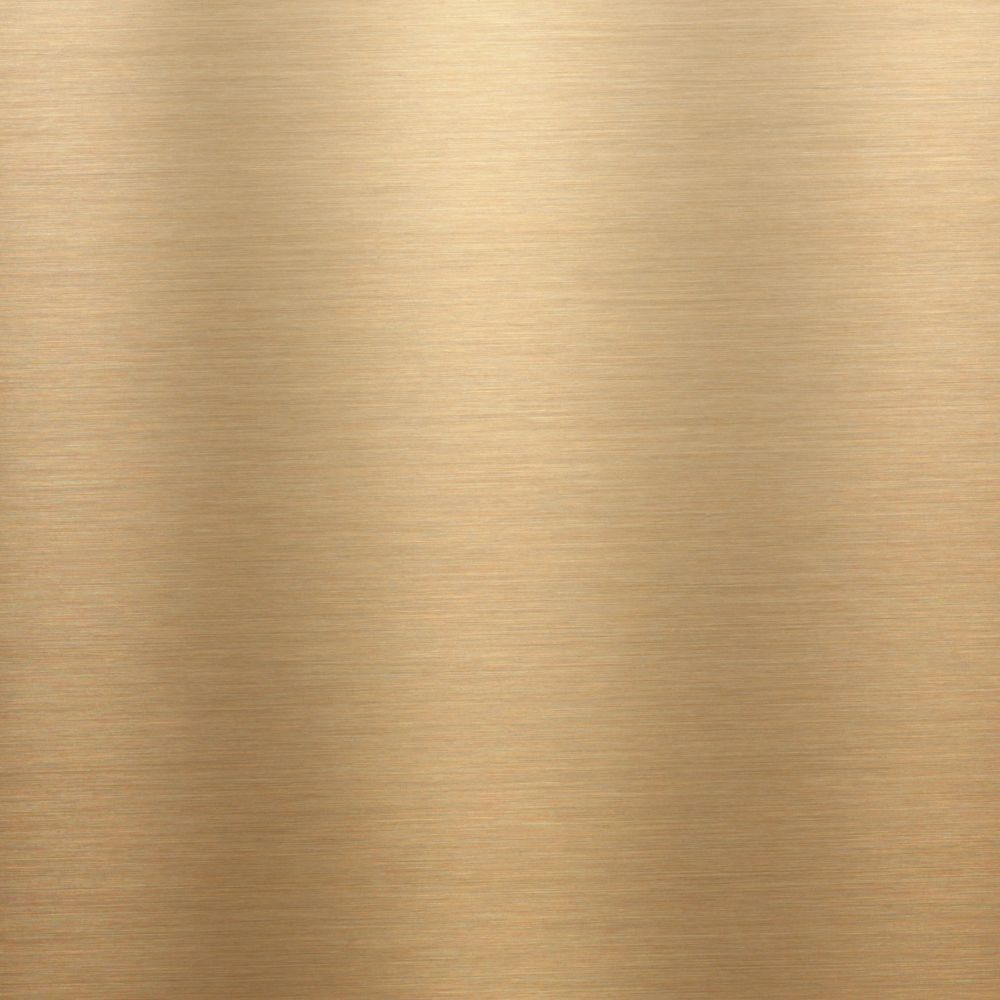 Aslan Mirror Vinyl CA 23