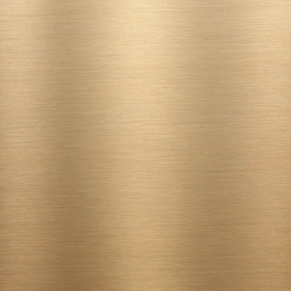 Aslan Mirror Vinyl CA 23