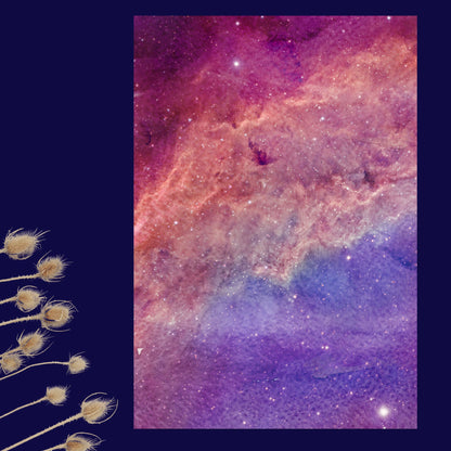 Starlight Dream – Exklusive Design Flexfolie