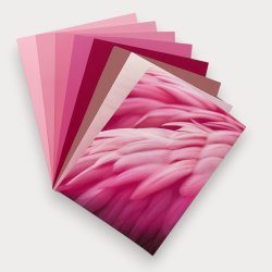 Rosé Romance Folienset